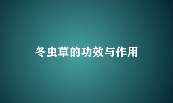 冬虫草的功效与作用