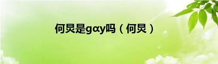 何炅是gαy吗（何炅）