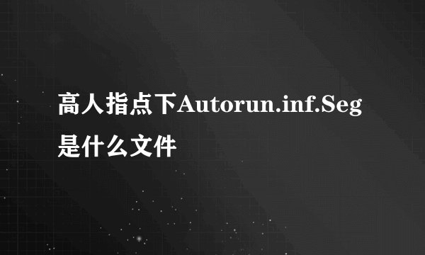 高人指点下Autorun.inf.Seg是什么文件