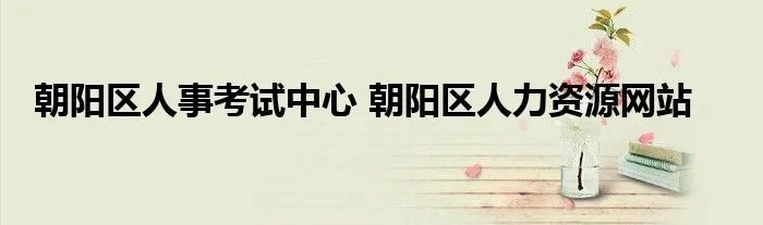 朝阳区人事考试中心 朝阳区人力资源网站