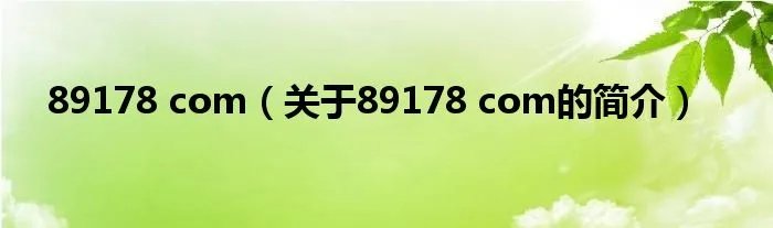 89178 com（关于89178 com的简介）