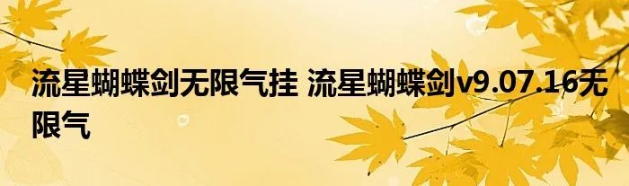 流星蝴蝶剑无限气挂 流星蝴蝶剑v9.07.16无限气