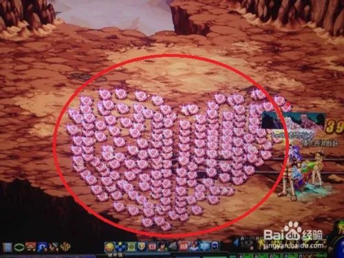 爱之玫瑰花的用法