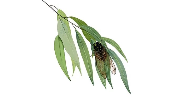 居高声自远非是藉秋风表达了作者怎样的感情