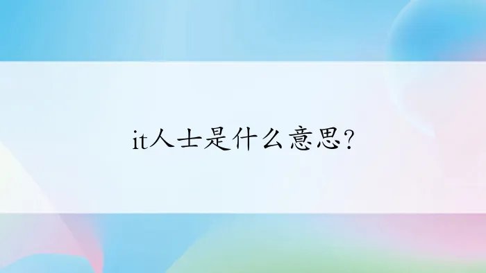 it人士是什么意思？