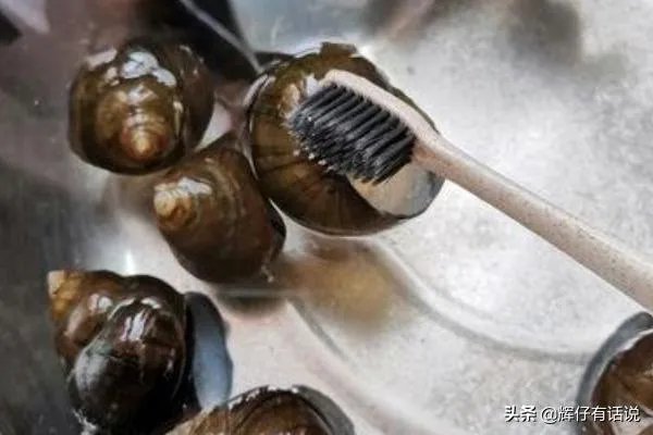 吃田螺变绿，田螺怎么洗干净？