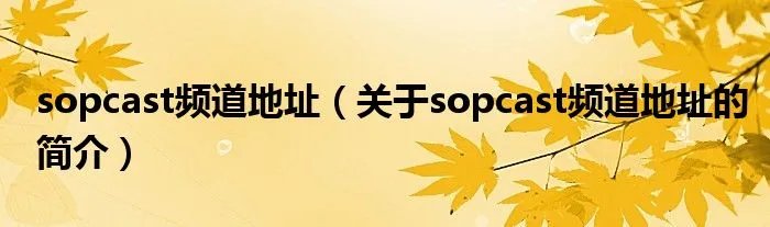 sopcast频道地址（关于sopcast频道地址的简介）
