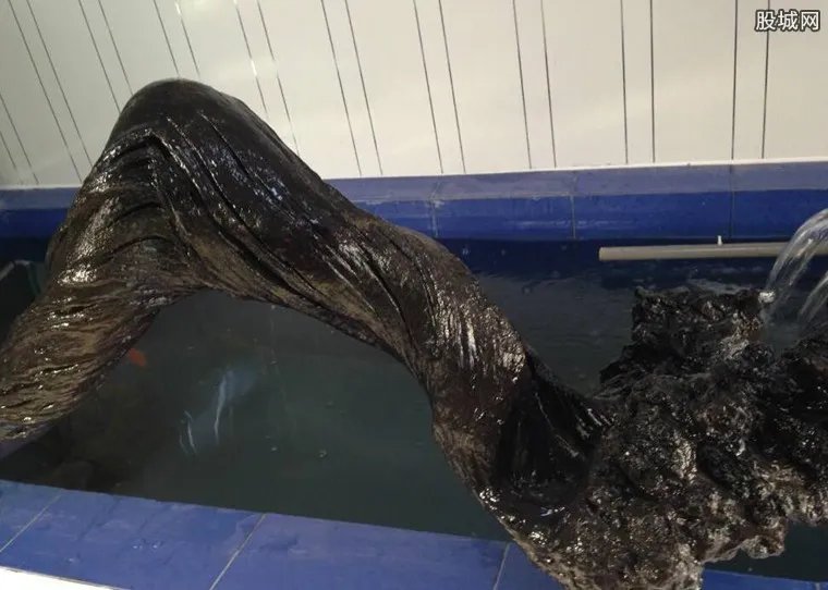 男子发现明代沉木 知道这根木价值连城后竟这样做