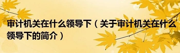审计机关在什么领导下（关于审计机关在什么领导下的简介）