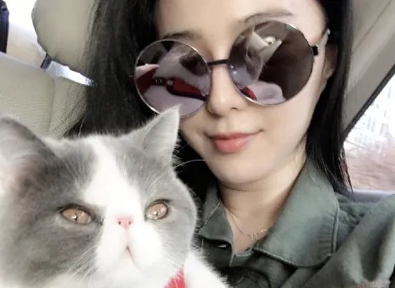 范冰冰晒绝育宣传照 网友超惊讶竟是虚惊一场