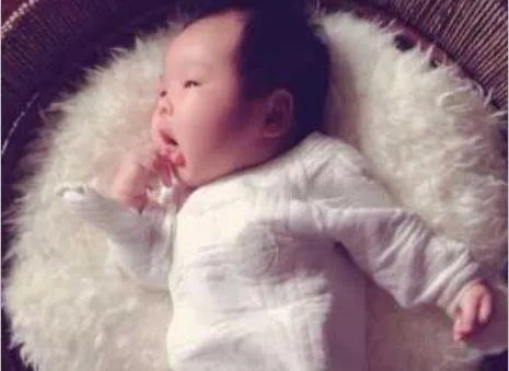 哈辉个人资料简介 老公杨柳儿子照片