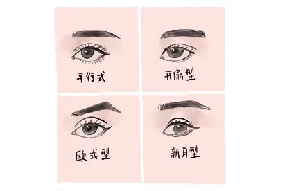 四种双眼皮的图片