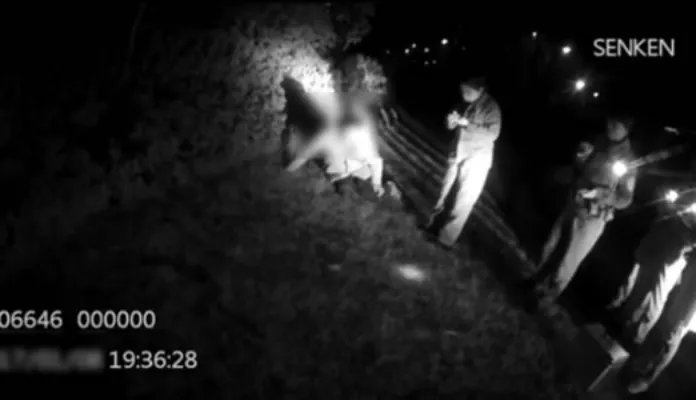 女子新婚3月坠亡：始末详情背后让人心惊