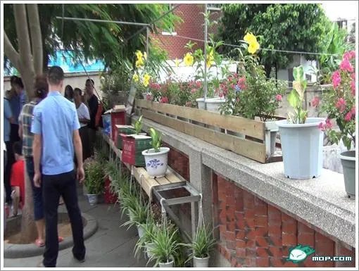 鼓浪屿一女子舌战城管：有种去保护钓鱼岛！