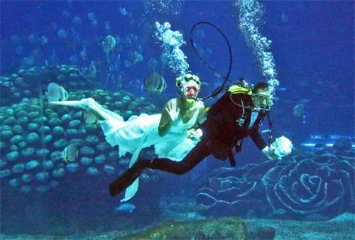 海底婚礼流程策划 怎么在海底举办婚礼
