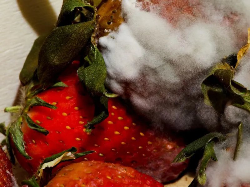 食物中毒的症状有哪些？如何治疗食物中毒？