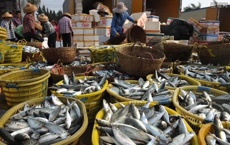 大鱼垒成雪塔保鲜 怎么挑选新鲜的大鱼