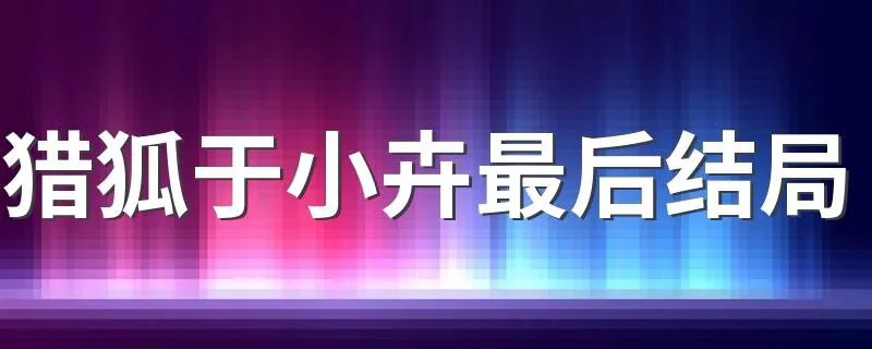 猎狐于小卉最后结局 猎狐于小卉最后结局简述