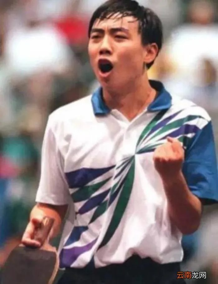 王楠老公郭斌的商业帝国 王楠老公是做什么