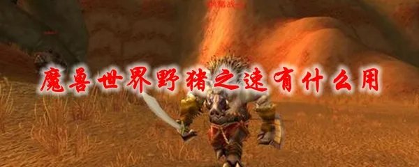 魔兽世界野猪之速有什么用
