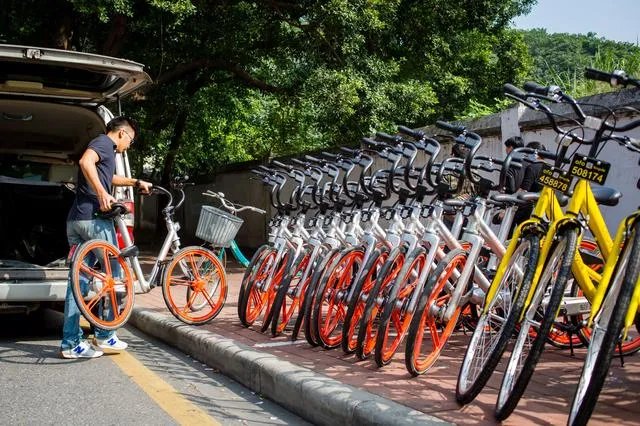 上海共享单车坟墓，堆积如山，无人管理，你怎么看？