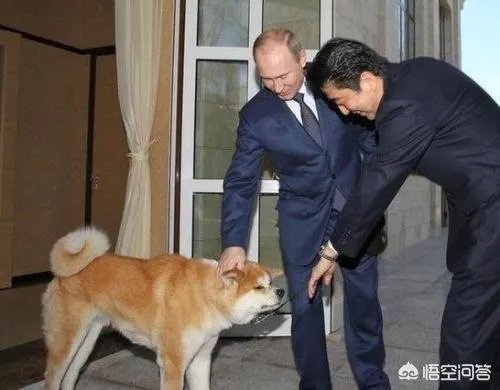 日本首相安倍辞职是福还是祸?