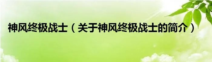 神风终极战士（关于神风终极战士的简介）