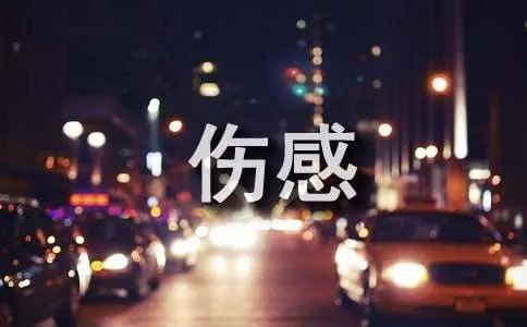 乱了年轻的心伤感日志