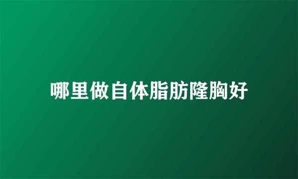 哪里做自体脂肪隆胸好