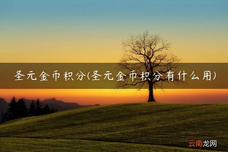 圣元金币积分有什么用 圣元金币积分