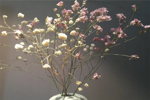 2020抖音最热歌曲排名前十：往后余生上榜，它为纪念马航