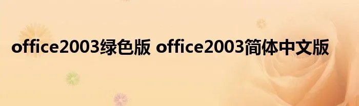 office2003绿色版 office2003简体中文版