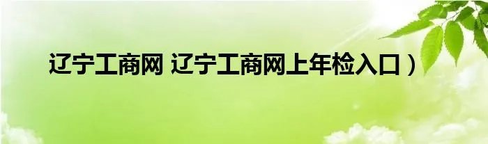 辽宁工商网 辽宁工商网上年检入口）