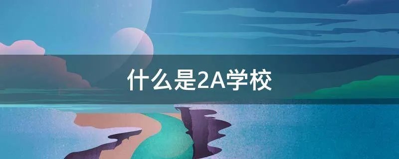 什么是2A学校