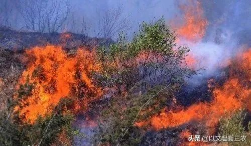 西昌山火为什么会死这么多人?