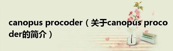 canopus procoder（关于canopus procoder的简介）