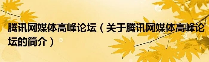 腾讯网媒体高峰论坛(关于腾讯网媒体高峰论坛的简介)