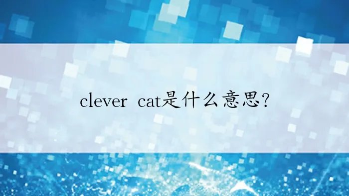clever cat是什么意思?