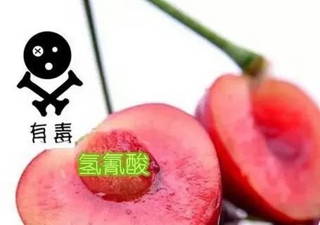网传“樱桃核有剧毒嚼碎会致命”？专家：几无可能