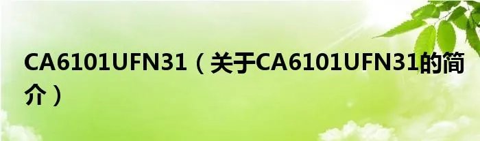 CA6101UFN31（关于CA6101UFN31的简介）