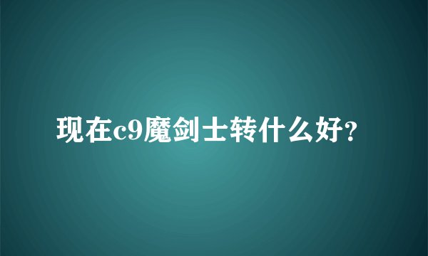 现在c9魔剑士转什么好？