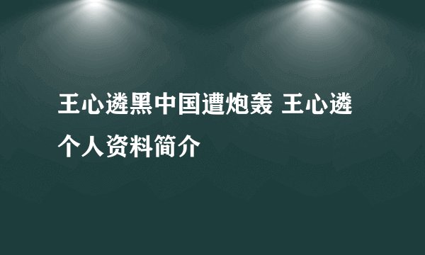 王心遴黑中国遭炮轰 王心遴个人资料简介