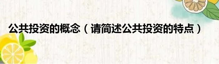 公共投资的概念(请简述公共投资的特点)