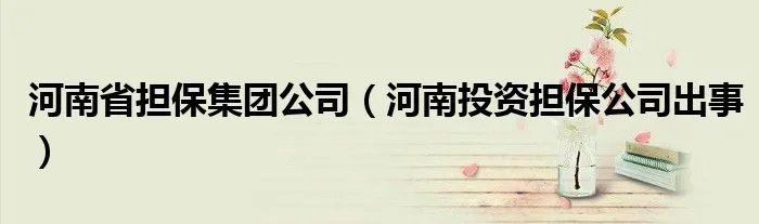 河南省担保集团公司（河南投资担保公司出事）