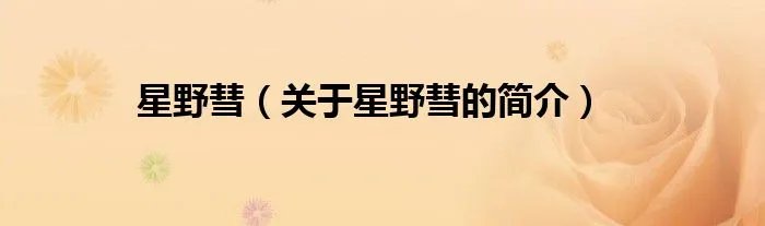 星野彗（关于星野彗的简介）