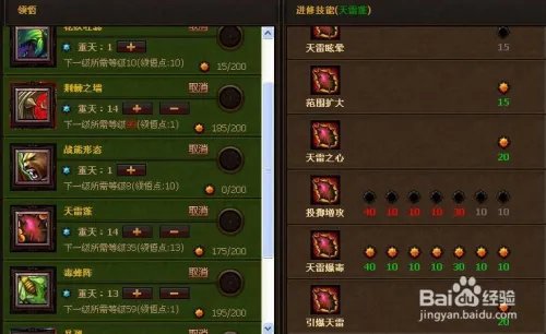 斗战神果子狸加点