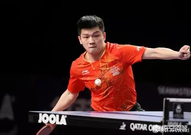 樊振东输张本智和