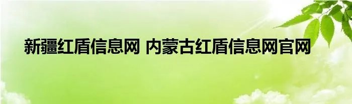 新疆红盾信息网 内蒙古红盾信息网官网