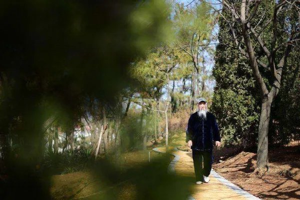 中国十大武术宗师:叶问上榜,他是功夫之王