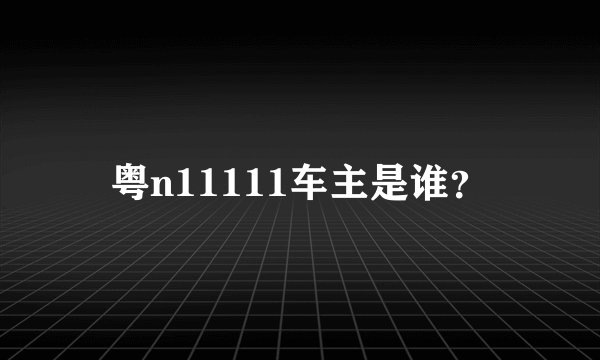 粤n11111车主是谁？